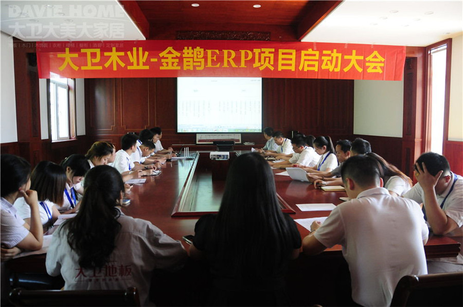 大衛(wèi)-金鵲ERP項目啟動大會.jpg